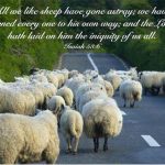 Ayat-Ayat Alkitab Tentang Menyayangi Binatang